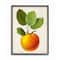 Stupell Industries Vintage Fruit Apple Painting in Black Frame Wall Art